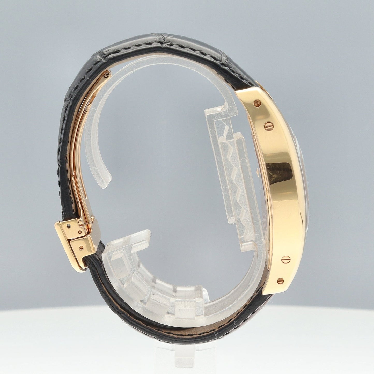 W1546051 Tortue XL CPCP Colection PG 2CAR01-00608