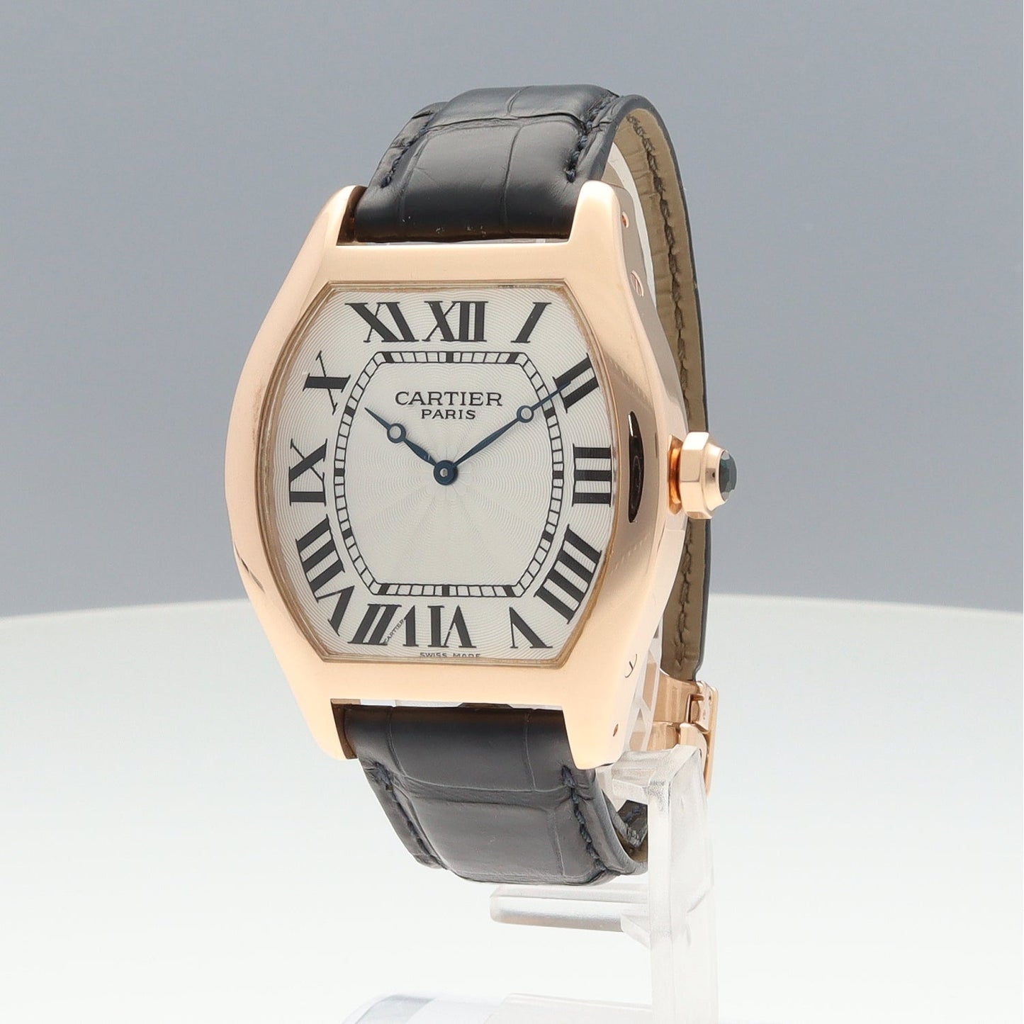 W1546051 Tortue PG 2CAR01-00684