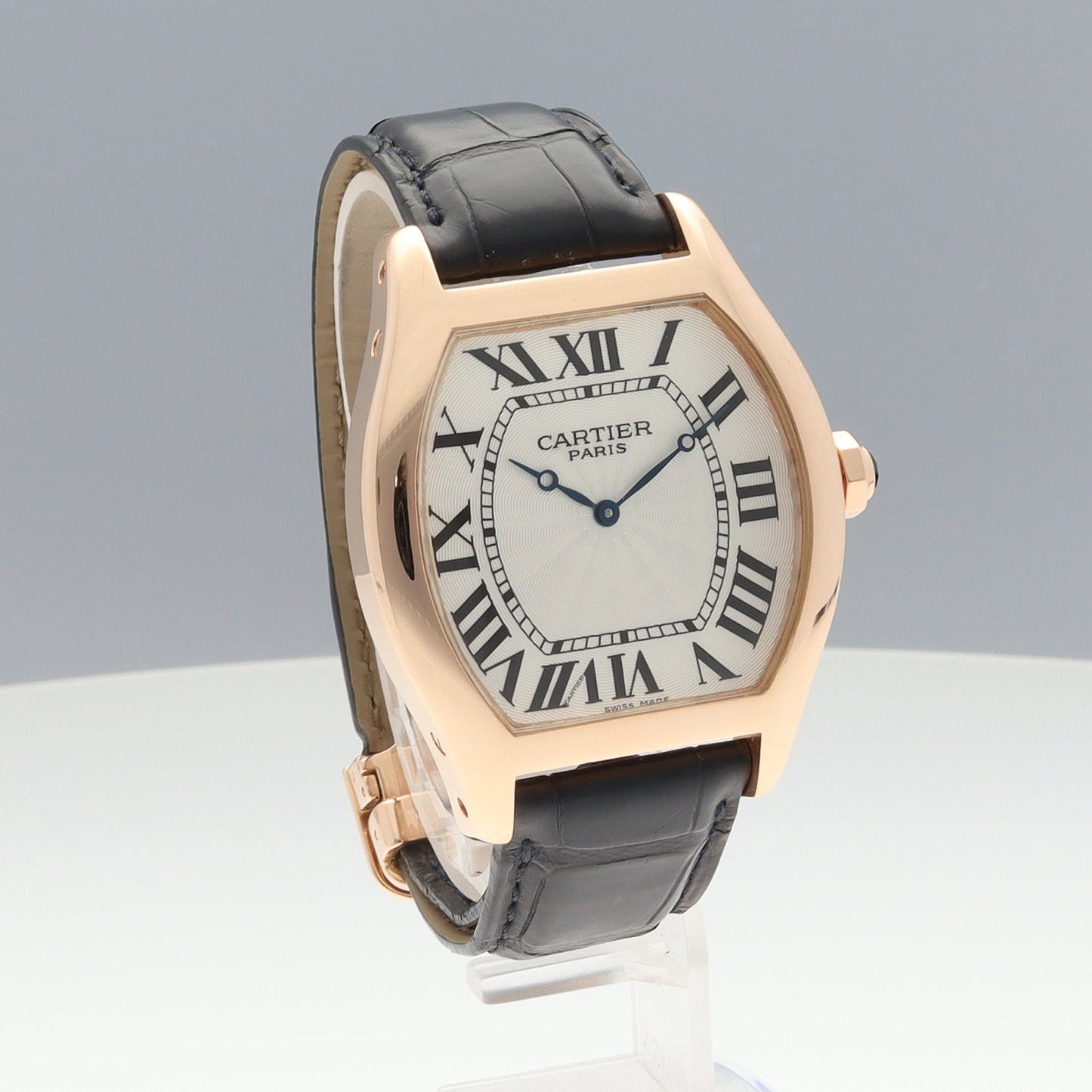 W1546051 Tortue PG 2CAR01-00684