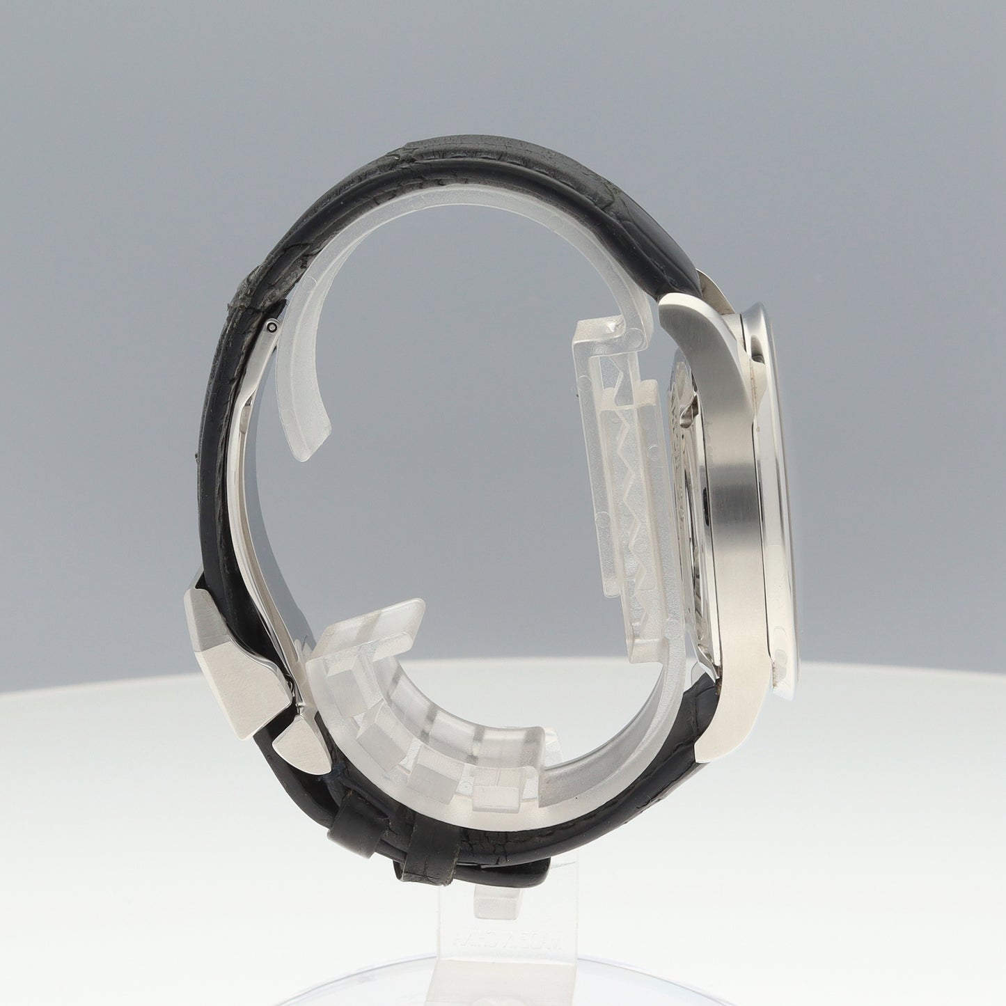 IW371446 ポルトギーゼ 2IWC01-00235