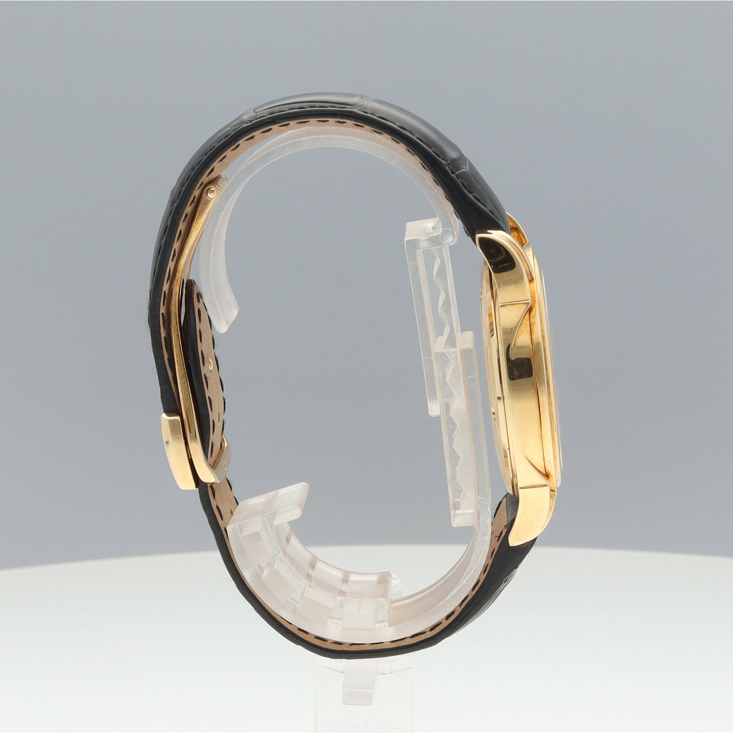 46313131 デビル コーアクシャル YG 2O-M01-00613