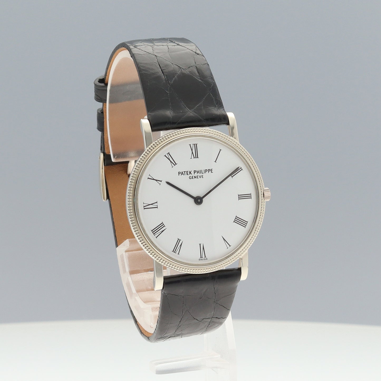 3520DG カラトラバ WG 2P-P01-00157