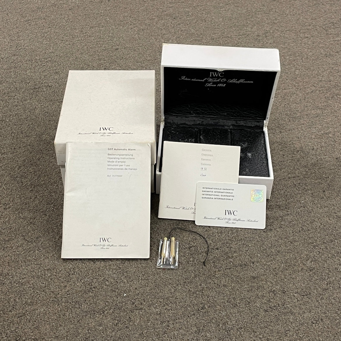 IW353702 GST Alarm 2IWC01-00300