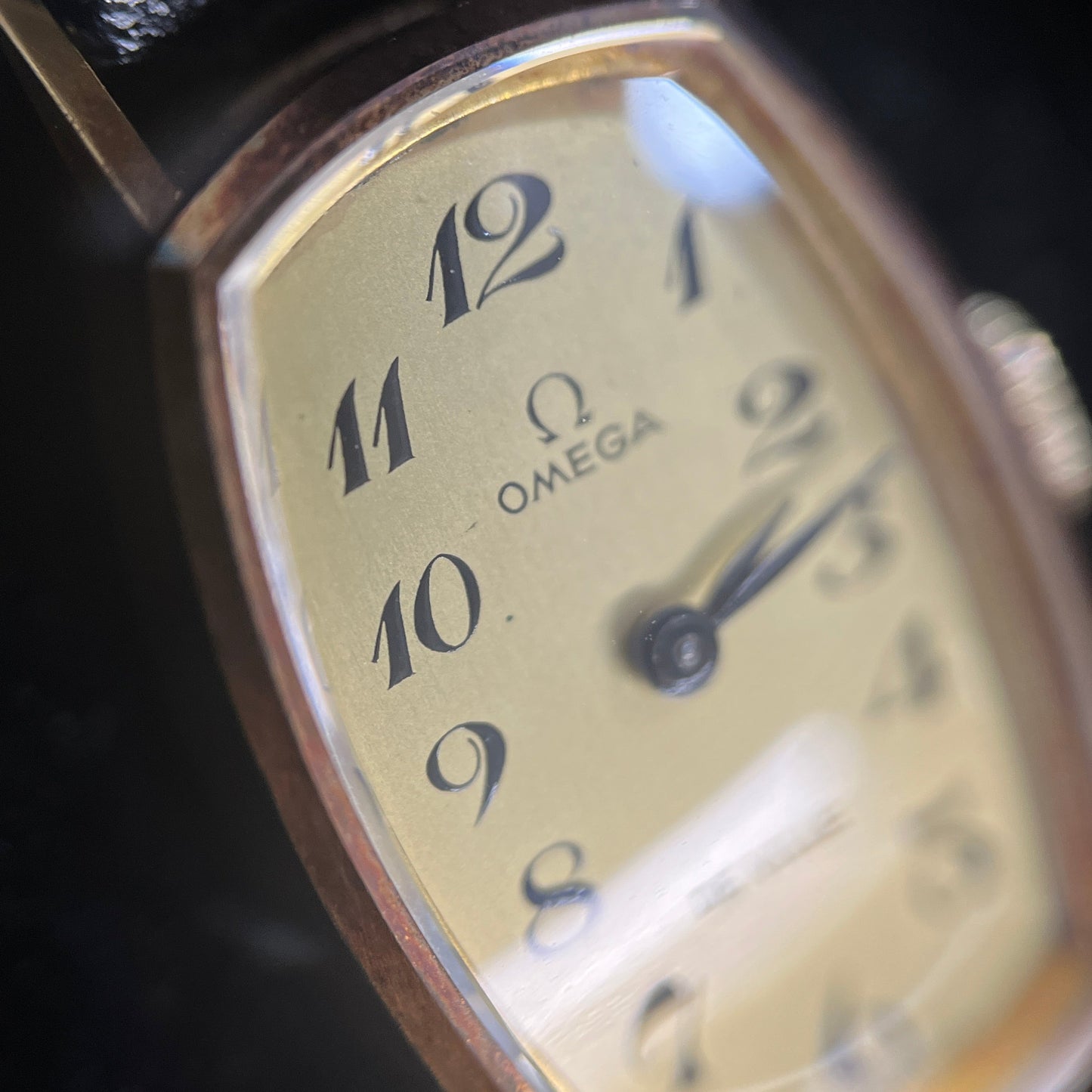 デビル YG 2O-M01-00591