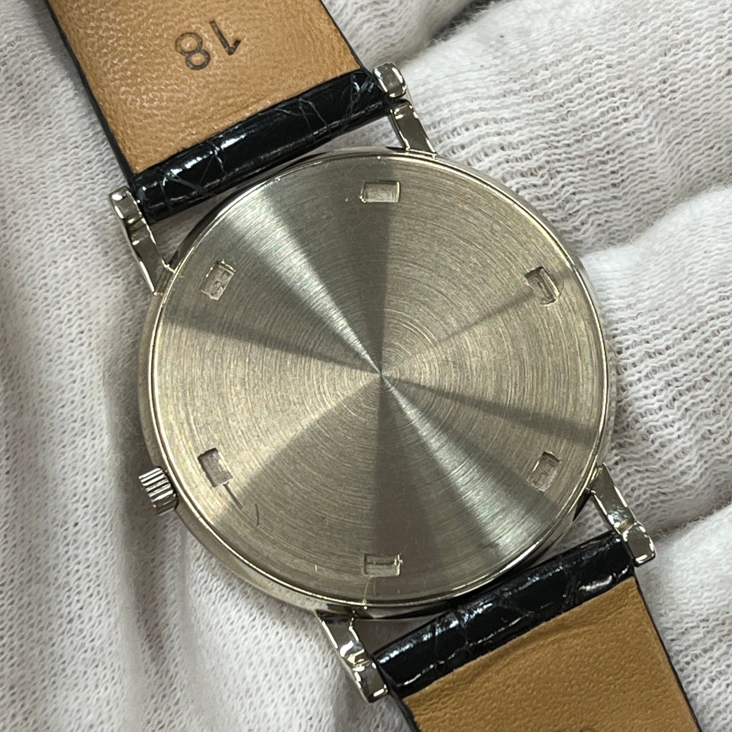 3520DG カラトラバ WG 2P-P01-00157