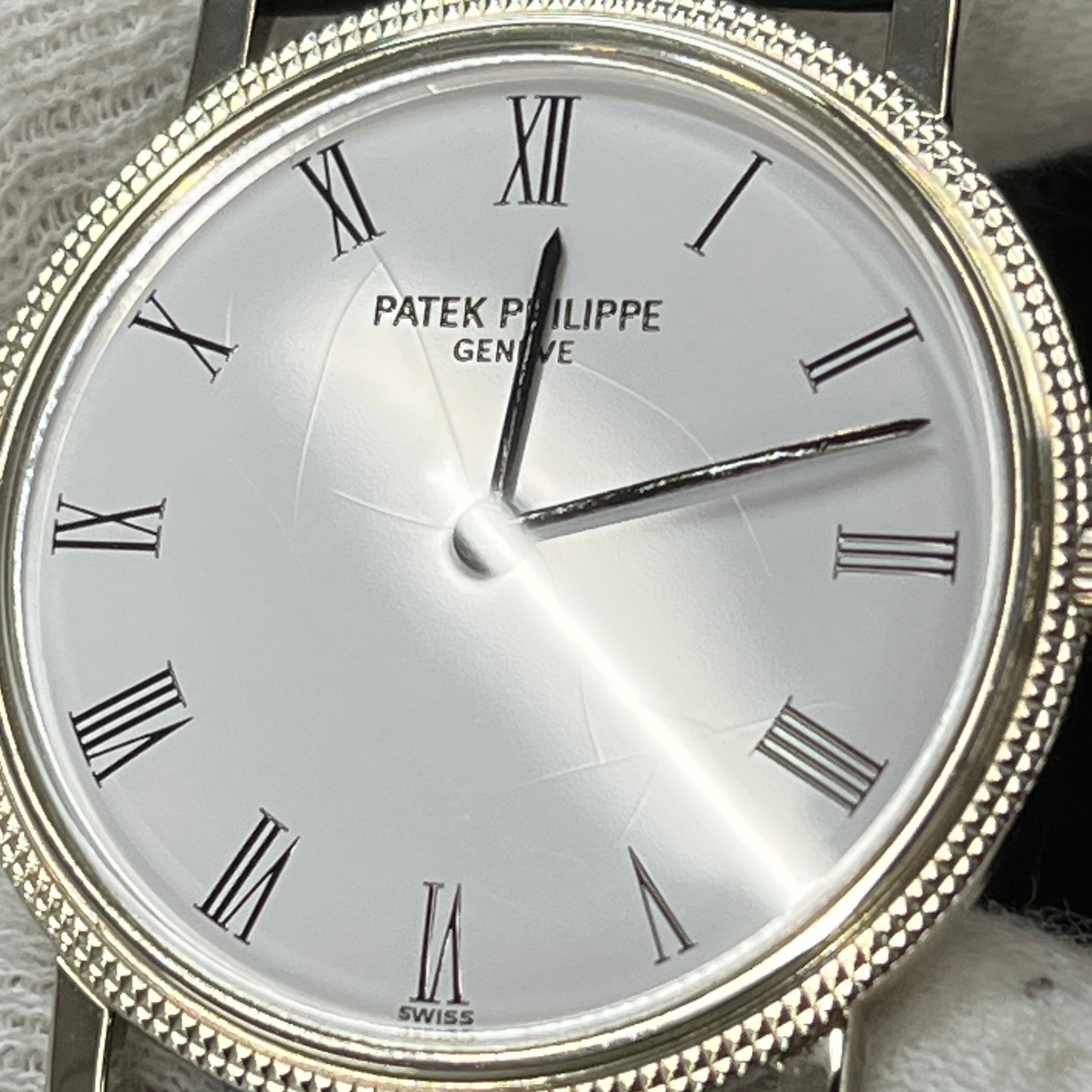 3520DG カラトラバ WG 2P-P01-00157