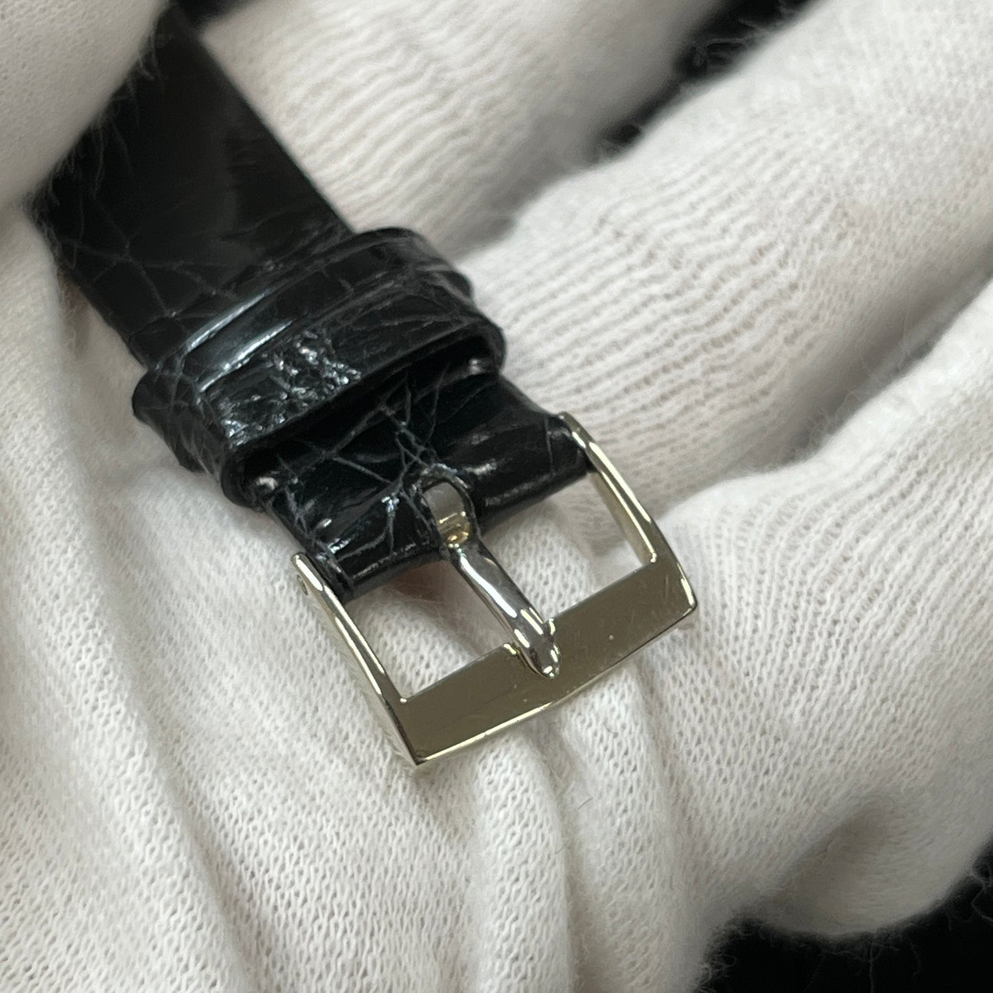 3520DG カラトラバ WG 2P-P01-00157