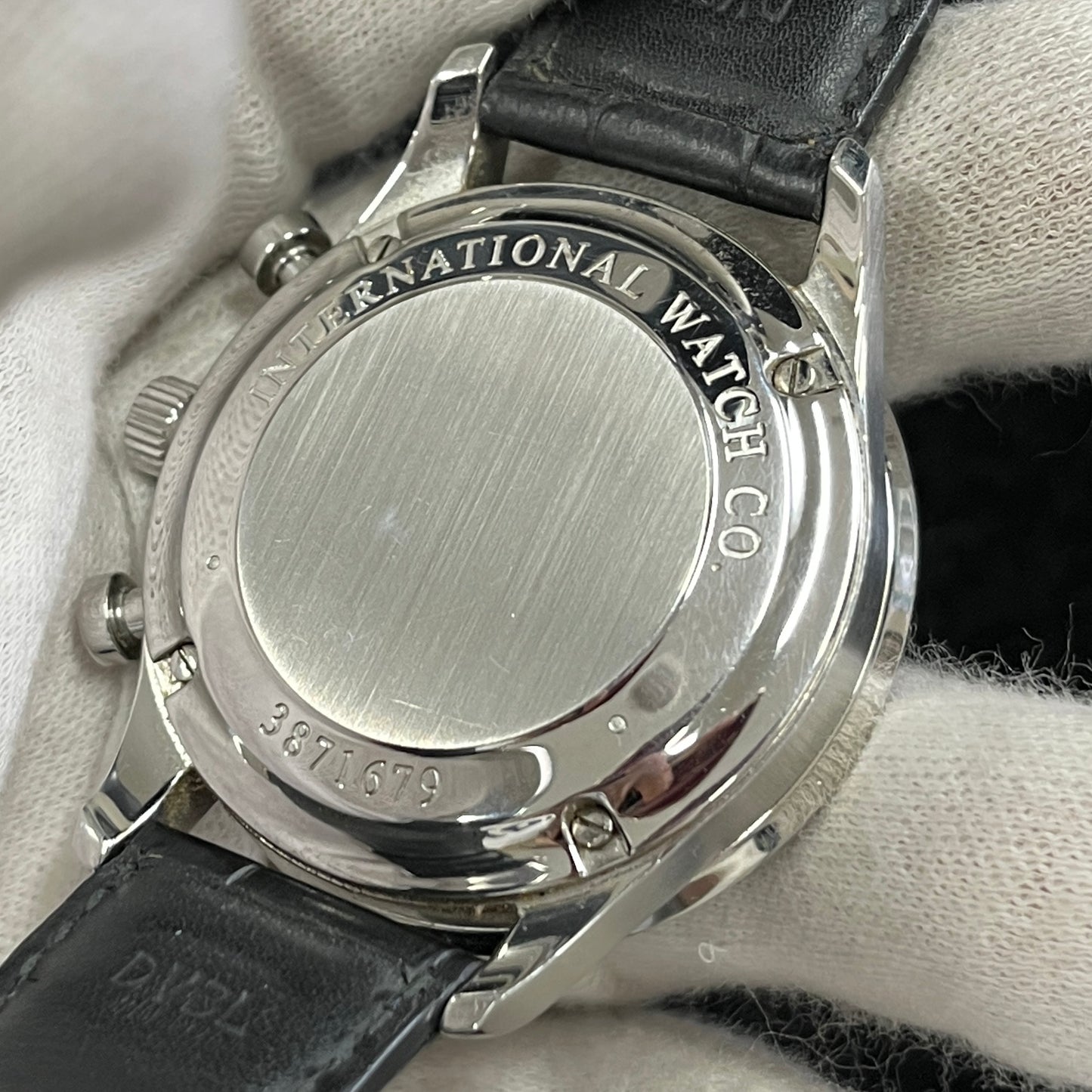 IW371446 ポルトギーゼ 2IWC01-00235