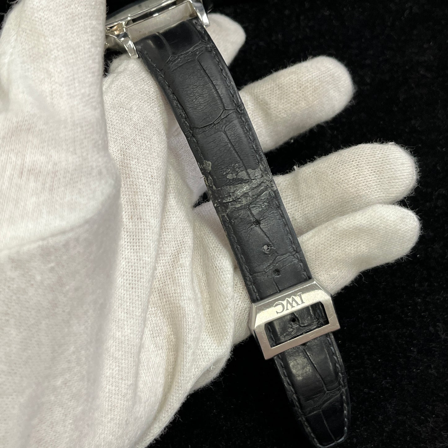 IW371446 ポルトギーゼ 2IWC01-00235