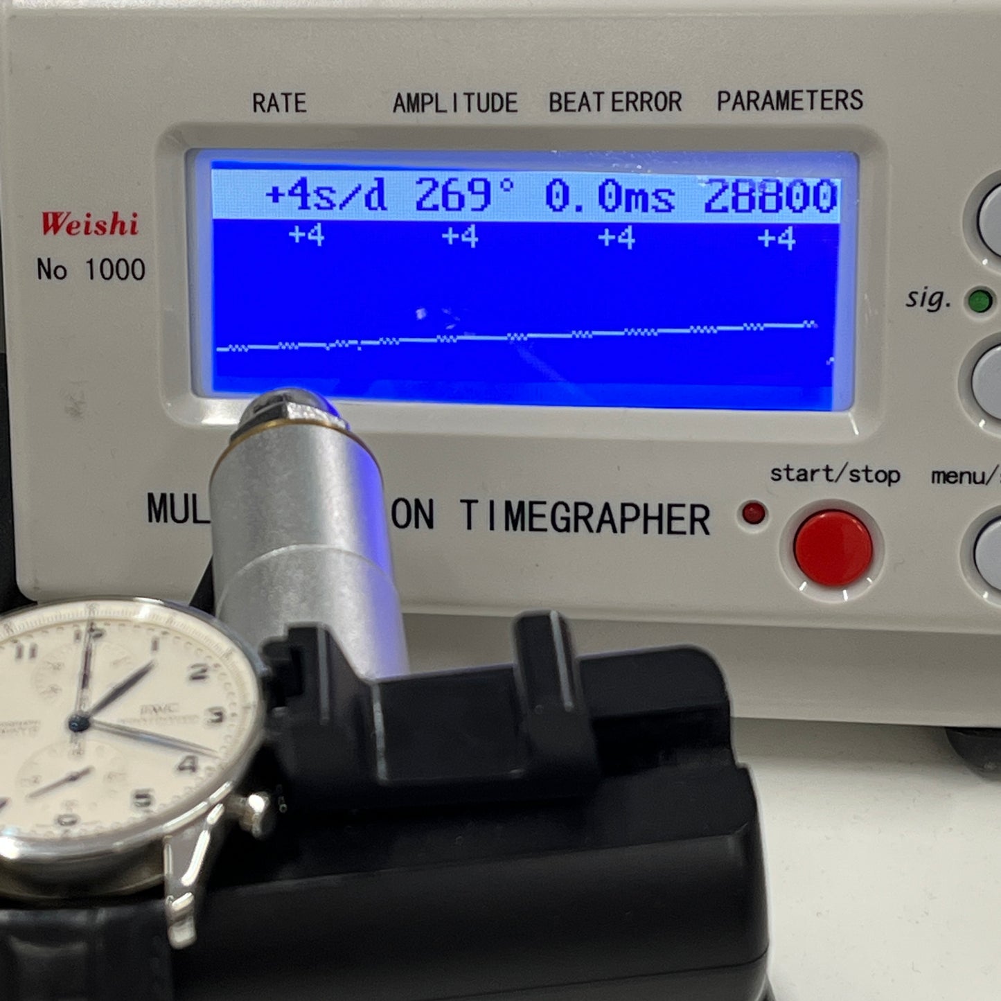IW371446 ポルトギーゼ 2IWC01-00235