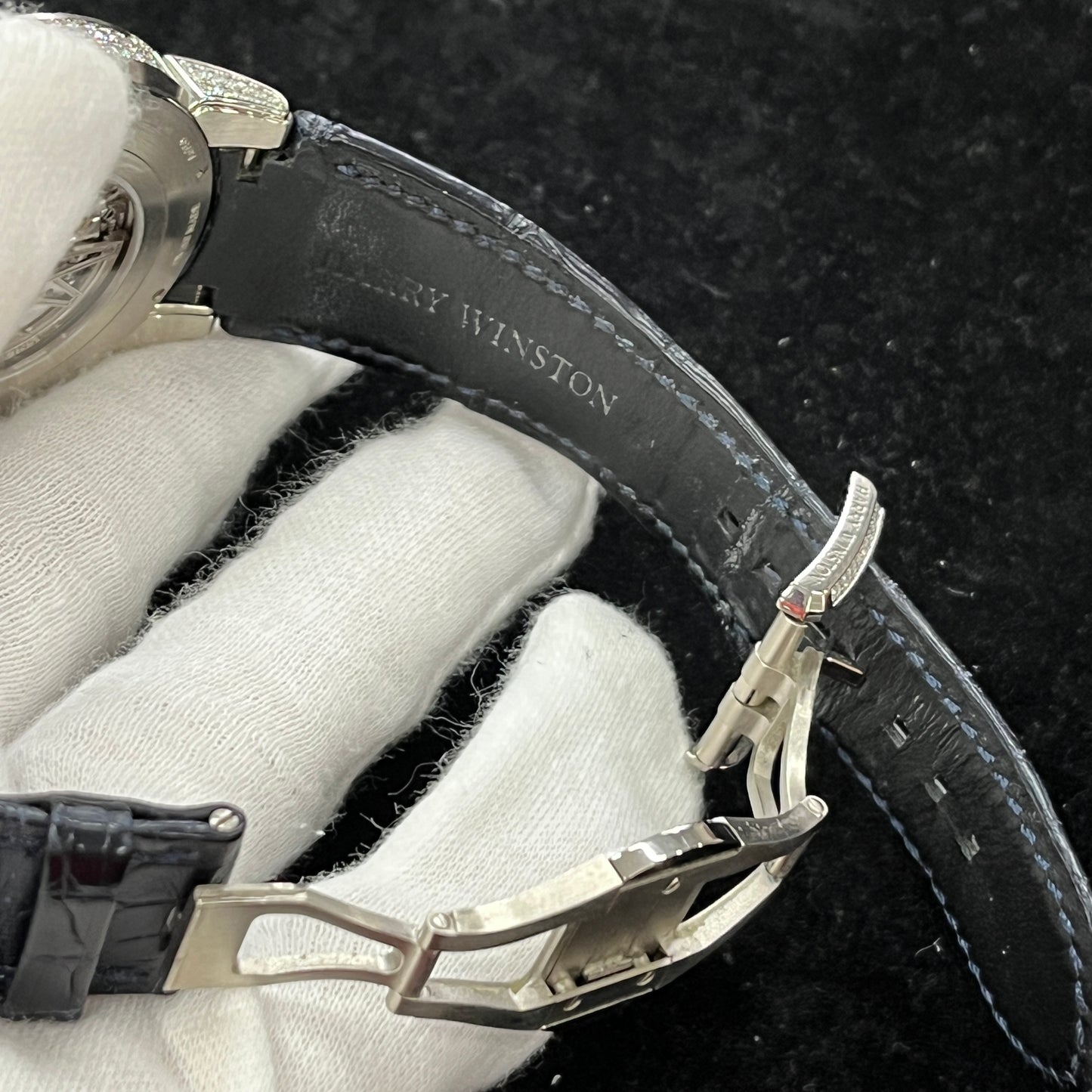 OCEABI42WW002 ãªãŒã·ã£ã³ ãã€ã¬ããã°ã©ãŒã WG 2H-W01-00068