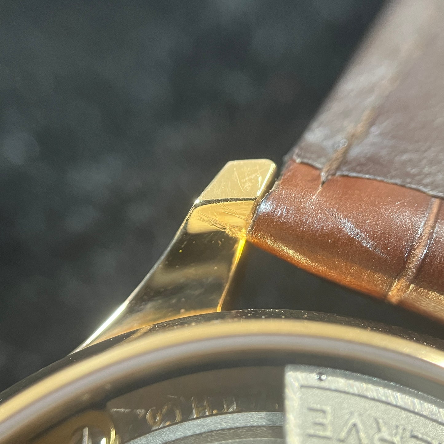 IW500113 ポルトギーゼ RG 2IWC01-00295