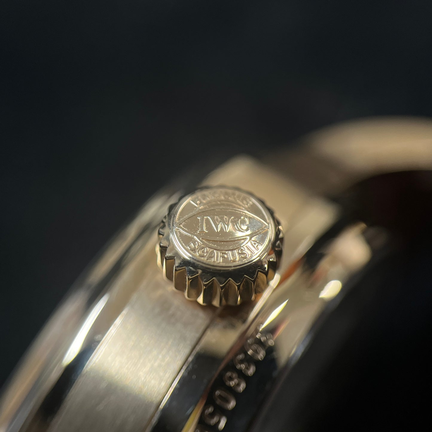 IW500113 ポルトギーゼ RG 2IWC01-00295