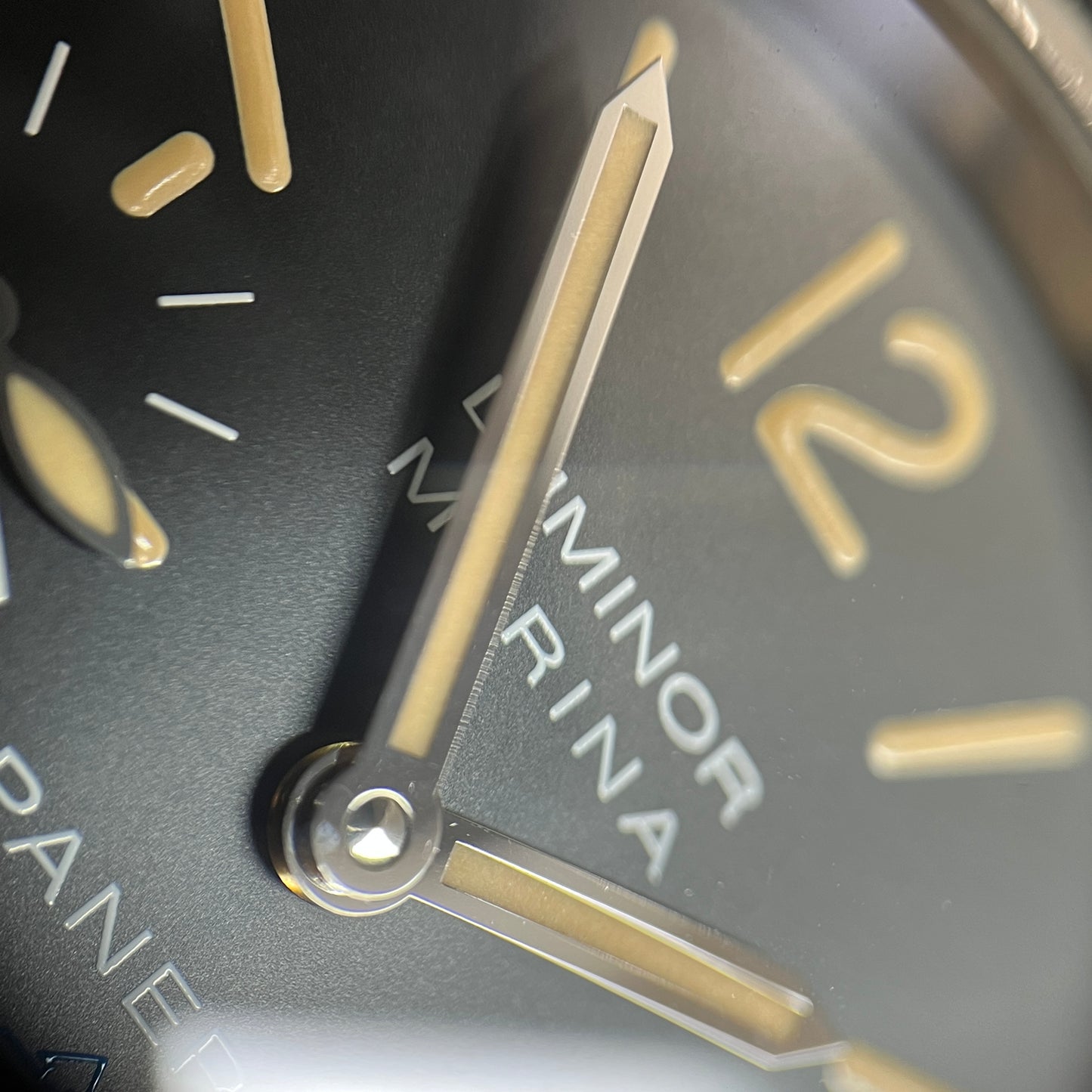 PAM00631 ルミノール マリーナ Logo アッチャイオ 2PAN01-00201