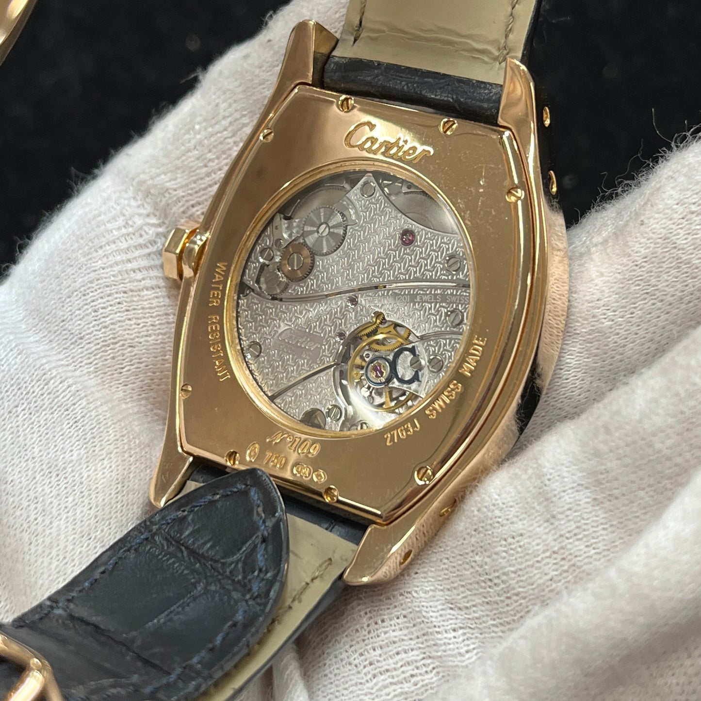 W1546051 Tortue PG 2CAR01-00684