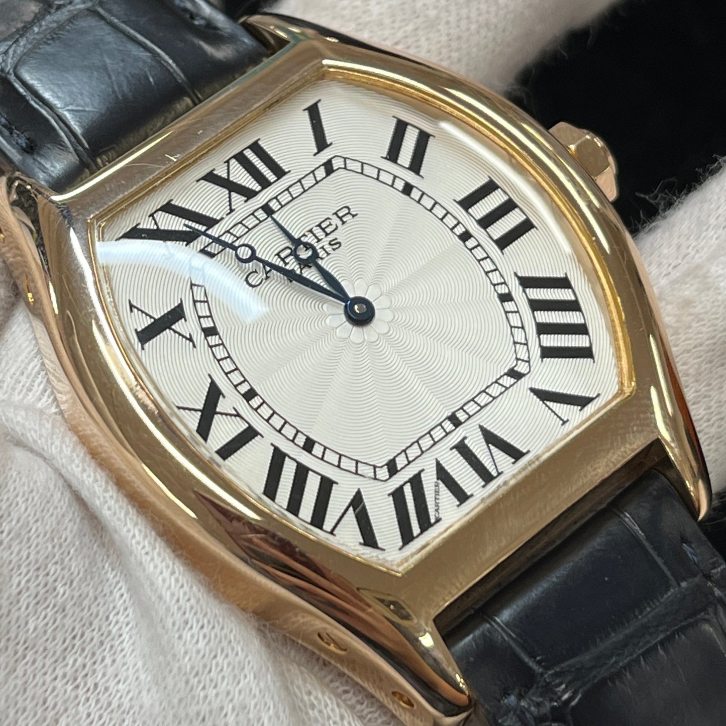 W1546051 Tortue PG 2CAR01-00684