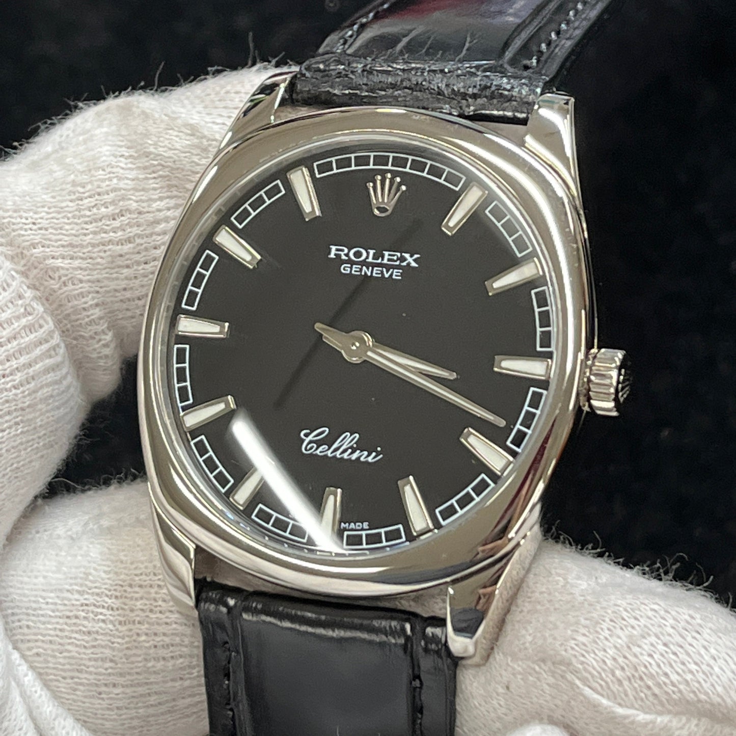 4243 Cellini Danaos WG K serial 2R-X01-01402